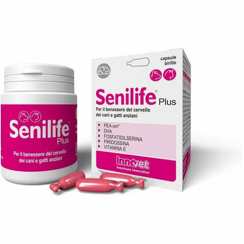 Senilife plus 30 capsule