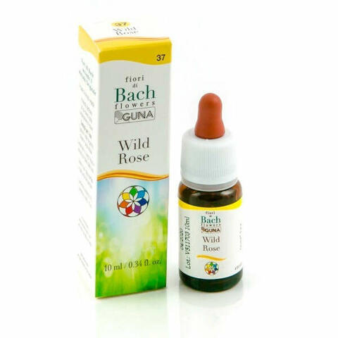 Wild rose  gocce 10 ml