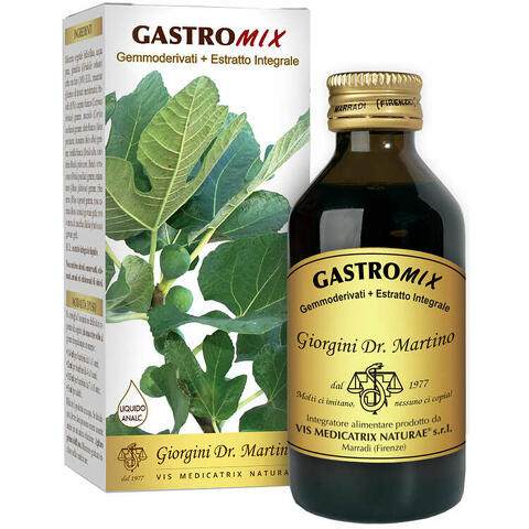 Gastromix liquido analcolico 100 ml