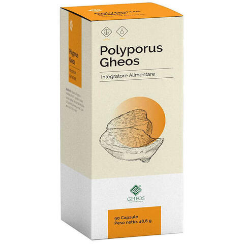 Polyporus  90 capsule