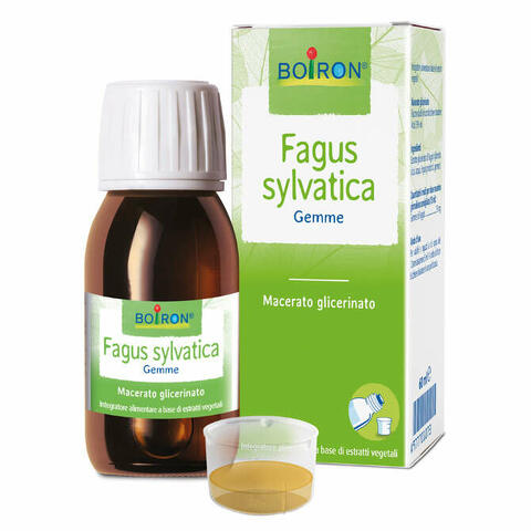 Fagus sylvatica macerato glicerico 60ml int