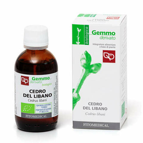 Cedro del libano macerato glicerinato bio 50ml