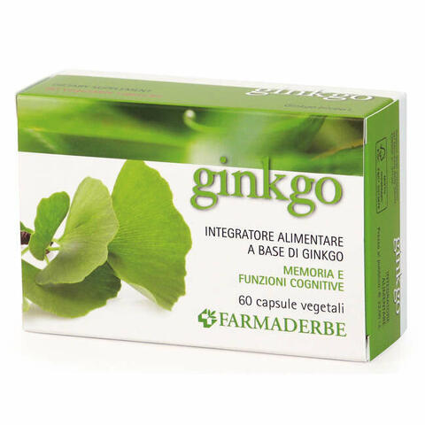 Ginkgo biloba 60 capsule