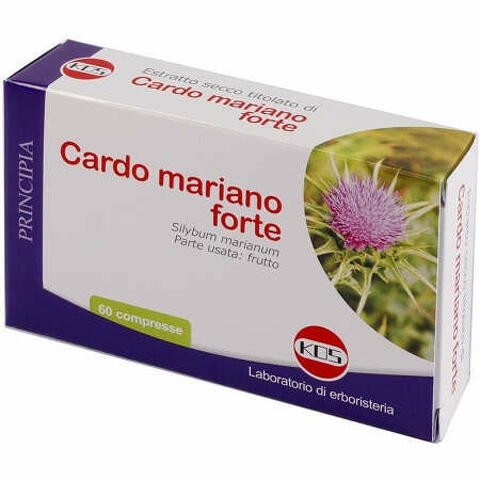 Cardo mariano forte 60 compresse