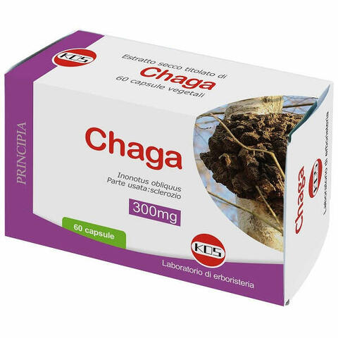 Chaga estratto secco titolato 60 capsule vegetali