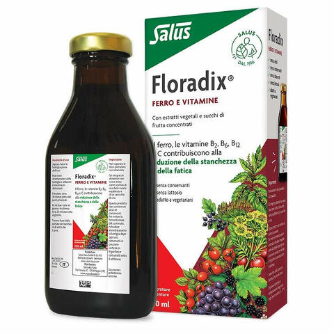 Floradix ferro 250 ml