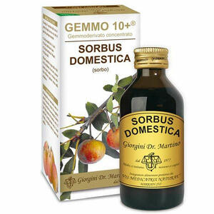 Giorgini - Sorbo analco gemmo 10+ 100 ml