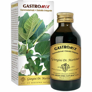 Giorgini - Gastromix liquido analcolico 100 ml