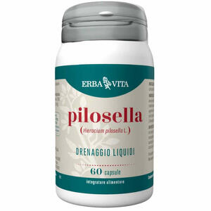 Erba vita - Pilosella 60 capsule