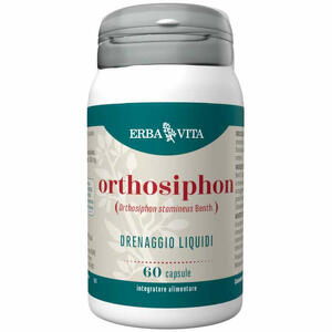 Erba vita - Orthosiphon 60 capsule