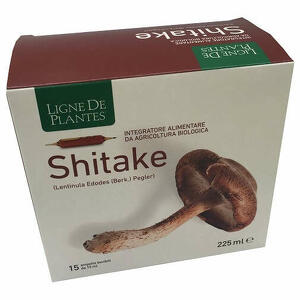 Ligne de plantes - Shitake bio 15 ampolle da 15 ml