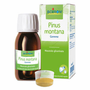 Boiron - Pinus montana macerato glicerico 60ml int