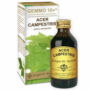 Giorgini - Gemmo 10+ Acero Campestre 100 ml Liquido Analcolico - Integratore Gemmoderivato