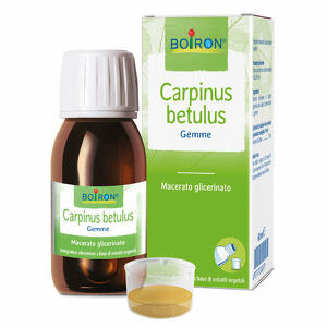 Boiron - Carpinus betulus macerato glicerico 60ml int