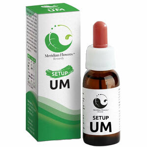 Setup um - Setup um 10 ml meridian flowers remedy