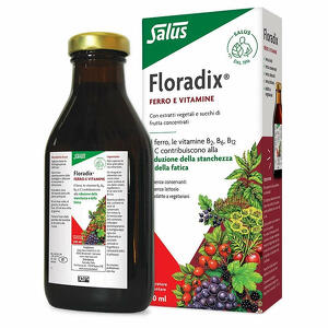 Floradix - Floradix ferro 250 ml