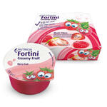 Nutricia Fortini creamy fruit multi fibre frutti rossi 4x100 g