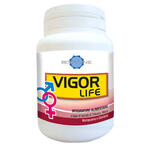 Vigorlife Vigor life 40 capsule